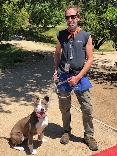 volunteer with dog on leash